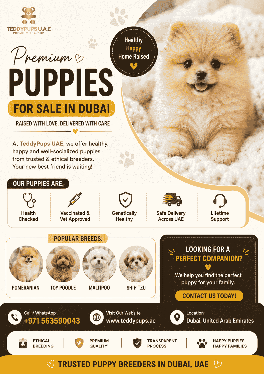 face_21d6aed506e7d1147a4e58da9d404f29.png