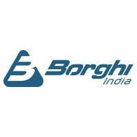 borrghiindia